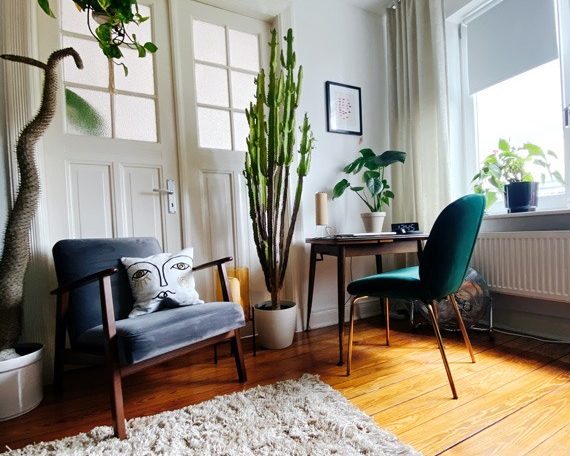 salon casa salon con suelo de parquet plantas y alfombra